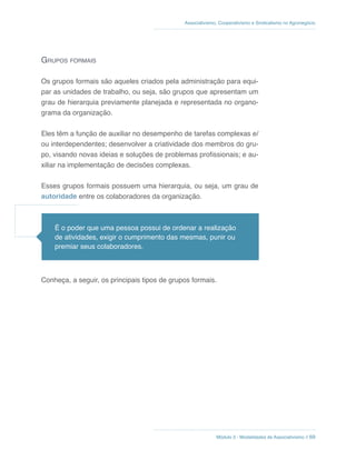 Módulo 3 - Modalidades de Associativismo // 69
Associativismo, Cooperativismo e Sindicalismo no Agronegócio
Grupos formais
Os grupos formais são aqueles criados pela administração para equi-
par as unidades de trabalho, ou seja, são grupos que apresentam um
grau de hierarquia previamente planejada e representada no organo-
grama da organização.
Eles têm a função de auxiliar no desempenho de tarefas complexas e/
ou interdependentes; desenvolver a criatividade dos membros do gru-
po, visando novas ideias e soluções de problemas profissionais; e au-
xiliar na implementação de decisões complexas.
Esses grupos formais possuem uma hierarquia, ou seja, um grau de
autoridade entre os colaboradores da organização.
Conheça, a seguir, os principais tipos de grupos formais.
É o poder que uma pessoa possui de ordenar a realização
de atividades, exigir o cumprimento das mesmas, punir ou
premiar seus colaboradores.
 