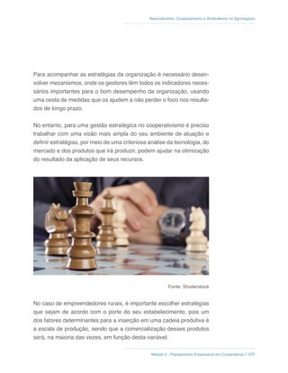 Módulo 5 - Planejamento Empresarial em Cooperativas // 107
Associativismo, Cooperativismo e Sindicalismo no Agronegócio
Para acompanhar as estratégias da organização é necessário desen-
volver mecanismos, onde os gestores têm todos os indicadores neces-
sários importantes para o bom desempenho da organização, usando
uma cesta de medidas que os ajudem a não perder o foco nos resulta-
dos de longo prazo.
No entanto, para uma gestão estratégica no cooperativismo é preciso
trabalhar com uma visão mais ampla do seu ambiente de atuação e
definir estratégias, por meio de uma criteriosa análise da tecnologia, do
mercado e dos produtos que irá produzir, podem ajudar na otimização
do resultado da aplicação de seus recursos.
Fonte: Shutterstock
No caso de empreendedores rurais, é importante escolher estratégias
que sejam de acordo com o porte do seu estabelecimento, pois um
dos fatores determinantes para a inserção em uma cadeia produtiva é
a escala de produção, sendo que a comercialização desses produtos
será, na maioria das vezes, em função desta variável.
 