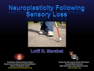 Neuroplasticity Following Sensory Loss