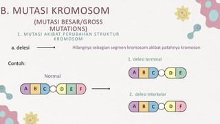Pewarisan sifat variasi dan mutasi mkhlk | PDF