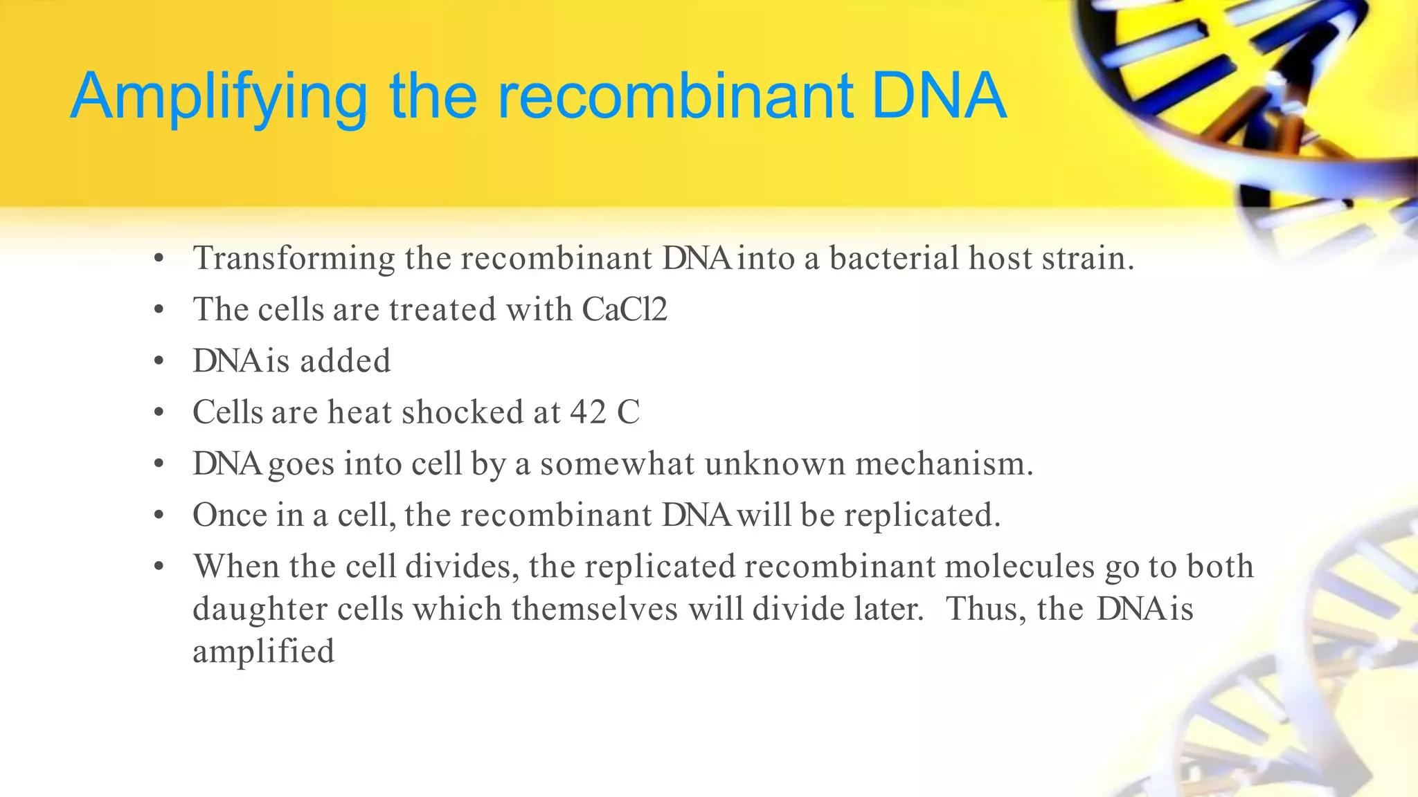 Recombination DNA Technology | PPTX