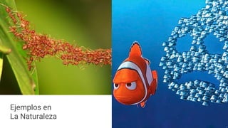 Ejemplos en
La Naturaleza
 