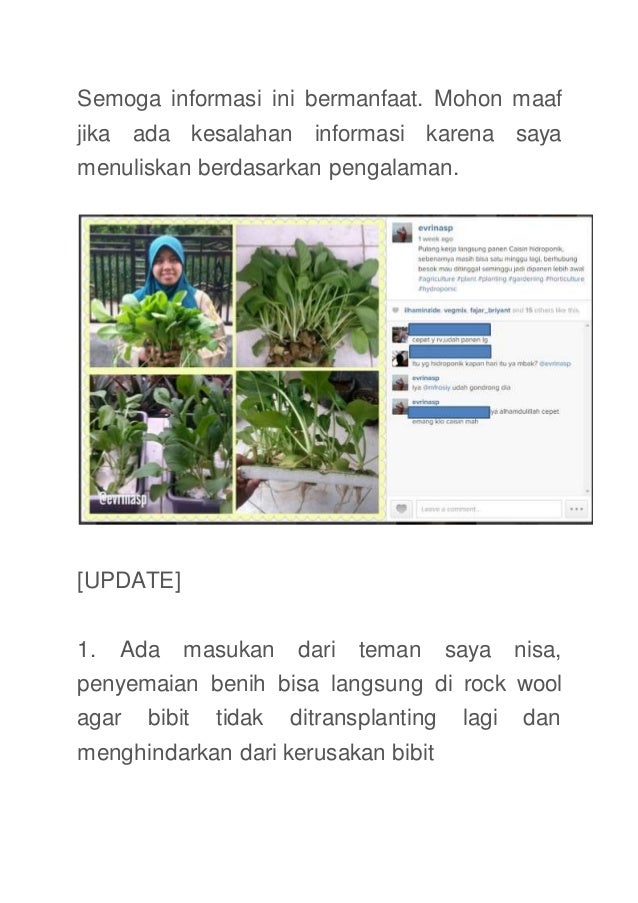 Merakit ihidroponiki isistemi terapung isederhanai di rumah Merakit ihidroponiki isistemi terapung isederhanai di rumah