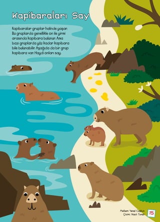 15
Kapibaraları Say
Kapibaralar gruplar halinde yaşar.
Bu gruplarda genellikle on ile yirmi
arasında kapibara bulunur. Ama
bazı gruplarda yüz kadar kapibara
bile bulunabilir. Aşağıda da bir grup
kapibara var. Haydi onları say.
Meltem Yenal Coşkun
Çizim: Nazlı Tunalı
 