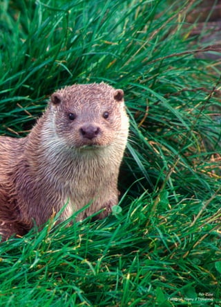 Aslı Zülal
Fotoğraf: Alamy / Dijitalimaj
 