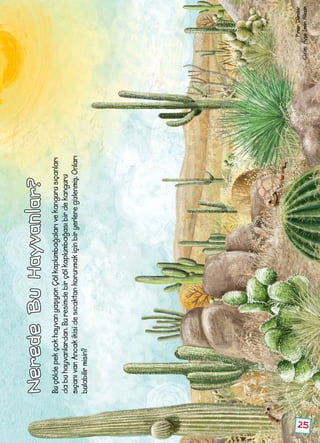 NeredeBuHayvanlar?
Buçöldepekçokhayvanyaşıyor.Çölkaplumbağalarıvekangurusıçanları
dabuhayvanlardan.Buresimdebirçölkaplumbağasıbirdekanguru
sıçanıvar.Ancakikisidesıcaktankorunmakiçinbiryerleregizlenmiş.Onları
bulabilirmisin?
PınarDündar
Çizim:AyşeİnanAlican
25
 