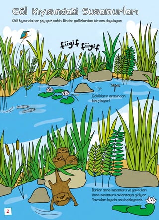 2
Göl Kıyısındaki Susamurları	
Göl kıyısında her şey çok sakin. Birden çalılıklardan bir ses duyuluyor.
Bunlar anne susamuru ve yavruları.
Anne susamuru avlanmaya gidiyor.
Yavruları kıyıda onu bekleyecek.
Çalılıkların arasından
kim çıkıyor?
 