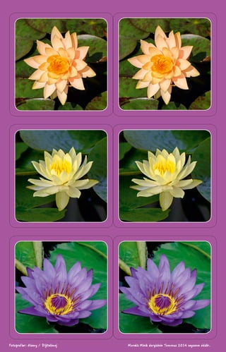 Meraklı Minik dergisinin Temmuz 2014 sayısının ekidir.Fotoğraflar: Alamy / Dijitalimaj
 