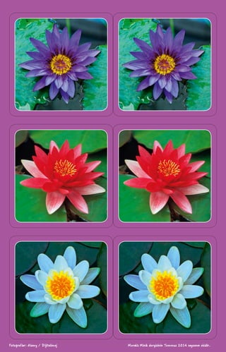 Fotoğraflar: Alamy / Dijitalimaj Meraklı Minik dergisinin Temmuz 2014 sayısının ekidir.
 