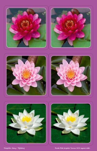 Fotoğraflar: Alamy / Dijitalimaj Meraklı Minik dergisinin Temmuz 2014 sayısının ekidir.
 