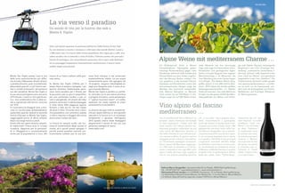 Monte San Vigilio presso Lana è una
delle zone escursionistiche più idillia-
che di tutto il Meranese. Boschi di larici
a perdita d‘occhio, prati incontaminati,
abbondanti pascoli, e tutt’intorno sen-
tieri e viottoli pittoreschi, ad esclusivo
uso del viandante. Monte San Vigilio e
la sua natura primigenia sono una zona
off limits per i motori e i loro gas di sca-
rico. Una caratteristica che si deve an-
che e soprattutto alla funivia, costruita
nel 1912.
Fu il pioniere Luis Zuegg di Lana, a trac-
ciare un via d’accesso ambientalmente
sostenibile quando realizzò la seconda
funivia d’Europa su Monte San Vigilio,
raggiungibile prima di allora soltanto
dopo una lunga marcia a piedi.
Grazie alla sua opera divenne possibi-
le trasformare l’intera zona in un’area
ricreativa, dapprima per le personali-
tà in villeggiatura e successivamente
anche per la popolazione in loco, alla
La via verso il paradiso
Un secolo di vita per la funivia che sale a
Monte S. Vigilio
Otto soli minuti separano la partenza dall‘arrivo della funivia di San Vigi-
lio, ma stazione a monte e stazione a valle sono due mondi distinti. Lassù a
1.486 metri non v’è traccia dello stress quotidiano che regna giù a valle. Una
calma serafica che si estende a vista d’occhio, l’intenso aroma che pervade i
boschi di montagna, uno straordinario panorama che si apre sulle Dolomiti
ed un paesaggio largamente incontaminato costituiscono il tesoro tanto
ambito dagli escursionisti.
ricerca di un fresco sollievo nelle gior-
nate estive.
Su Monte San Vigilio l’offerta per il
tempo libero è ampia e variegata. I più
sportivi sfruttano l‘elettrizzante pano-
rama come paradiso per il fitness, per
le escursioni, per un giro in rampichino,
per una camminata nordica o per un
volo in parapendio. Gli amanti del relax
possono ammirare il ridente paesaggio
in tutta calma dalla seggiovia oppure
fermarsi a fare pic-nic nel bel mezzo
dei prati in fiore. Fortunati sono coloro
che possiedono una romantica casetta
in stile e riescono a sfuggire alla calura
estiva sotto l‘ombra dei larici.
La funivia ha sempre svolto una fun-
zione di contenimento degli accessi al
monte, ed è quindi presto spiegato il
perché questo paradiso naturale, par-
ticolarmente tutelato per le sue pre-
ziose fonti d‘acqua, si sia conservato
sostanzialmente intatto. Le sue acque
estremamente pure, che sgorgano da
14 sorgenti, vengono imbottigliate sin
dagli anni Sessanta sotto il nome di ac-
qua minerale Merano.
Monte San Vigilio è peraltro un perfet-
to connubio tra la sua natura primitiva
e progetti innovativi, come ad esempio
il “vigilius mountain resort” a 5 stelle,
realizzato nel totale rispetto di criteri
strettamente ecosostenibili.
La zona ha dunque tutte le caratteristi-
che per essere definita un vero gioiello
naturale e la funivia ne è al contempo
fondamento e garanzia. Nell’agosto
2012 questa arteria vitale festeggerà
degnamente il secolo di vita con una
generosa rassegna di eventi.
www.vigilio.com
Kellerei Meran Burggräfler: Gampenstraße 64 via Palade, 39020 Marling/Marlengo
Tel. +39 0473 447137, www.kellereimeran.it, www.cantinamerano.it
Weinverkauf/Punti vendita: c/o COFRUM, Gampenstr. 19 via Palade, Marling/Marlengo
c/o Weinkellerei Meran/Cantina Merano, St.-Markus-Str. 11 via San Marco, Meran/Merano
c/o Kellerei Algund/Cantina Lagundo, Lauben 218 Portici, Meran/Merano
Vino alpino dal fascino
mediterraneo …
Ein Widerspruch? Nicht in Meran!
Schneebedeckte Alpengipfel geben
mächtige Rückendeckung gegen kalte
Nordwinde, während milde mediterrane
Klimaeinflüsse aus dem Süden ungehin-
dert das Meraner Becken erobern. Da-
rum gedeihen in der Kurstadt Palmen,
Zypressen und Zitrusfrüchte, und an den
sonnenexponierten Hängen prägt der
Weinbau das charmante Landschafts-
bild. Manche Weingüter im Meraner
Land reichen bis auf 550 Meter, im Vin-
schgau sogar bis auf 800 Meter hinauf.
Jede Rebsorte hat ihre bevorzugte
Lage, jede Lage ihre besonderen mikro­
klimatischen und geologischen Eigen-
heiten und jede Gegend ihren eigenen
Menschenschlag, z. B. Menschen, die
ihren Weinberg wie einen Garten hegen
und pflegen. Die Kellerei Meran Burg-
gräfler vereint in sich 380 solcher Men-
schen. 2010 haben die beiden größten
Kellereigenossenschaften im Westen
Südtirols fusioniert. Vier edle Weinlinien
bringen nun die ganze Vielfalt des Wein­
anbaugebietes von Meran und Vinsch-
Una contraddizione? Non a Merano! Le
possenti catene montuose ammantate
di neve respingono i freddi venti del
nord, mentre i miti influssi climatici me-
diterranei giungono indisturbati da sud
nella conca del Meranese, facendo sì
che nella cittadina di cura crescano pal-
me, cipressi e alberi di agrumi, mentre
soleggiati pendii coltivati a vite plasma-
no l’incantevole paesaggio circostante.
Alcuni vigneti del Meranese raggiungo-
no i 550 metri di altitudine e in Val Ve-
nosta si estendono sino agli 800 metri
sopra il livello del mare. Ogni qualità di
vite ha una propria posizione specifica
che, a sua volta, vanta singolari pecu-
liarità microclimatiche e geologiche:
anche gli abitanti di queste terre si dis-
tinguono per la loro unicità, come i 380
appassionati viticoltori riuniti nella Can-
tina Merano Burggräfler, che si prendo-
no premurosamente cura dei loro vigne-
ti, con la stessa dedizione che si riserva
a un giardino. Nel 2010, le due principali
cooperative cantiniere dell’Alto Adige
occidentale si sono fuse in un’unica enti-
tà, racchiudendo la molteplicità viticola
di Merano e della Val Venosta in quattro
pregiate linee: la particolarità e raffina-
tezza dei nettari alpini “Sonnenberg”,
gau aufs Tablett: filigrane, extravagante
Bergweine in der Linie „Vinschgau Son-
nenberg“, authentische Sortenweine in
der Linie „festival“, edle Topweine in der
Linie „Graf von Meran“ und gehobene
Lagenweine in der Linie „Selektion“. Die
Traditionssorte Vernatsch erlebt gerade
eine spannende Renaissance – und Me-
ran ist nicht nur als Genussstadt, son-
dern auch als Anbaugebiet von frischen
Weißweinen und fruchtigen Rotweinen
zur Marke geworden.
l’autenticità dei vini vari-
etali “Festival”, la nobile
eccellenza “Graf von
Meran” e la ricercatez-
za della “Selection”.
La tradizionale varie-
tà Schiava sta viven-
do una vera e propria
rinascita e Merano
non è più solo la città
del gusto, ma anche
la rinomata area vi-
tivinicola di freschi
nettari a bacca bian-
ca e rossi fruttati.
PR-Artikel
Alpine Weine mit mediterranem Charme …
Monte San Vigilio, zona escursionistica idilliaca. La romantica chiesetta su Monte San Vigilio.
33MERANO MAGAZINE
 