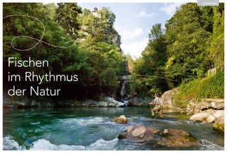 Auge in Auge mit dem Fisch
Text Susanne Pitro
Foto Georg Tappeiner
COVERSTORY
Fischen
im Rhythmus
der Natur
 
