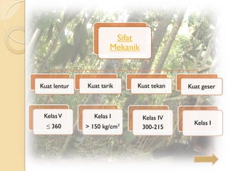 Sifat
Mekanik
Kuat lentur
KelasV
≤ 360
Kuat tarik
Kelas I
> 150 kg/cm²
Kuat tekan
Kelas IV
300-215
Kuat geser
Kelas I
 