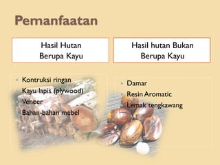 Pemanfaatan
Hasil Hutan
Berupa Kayu
Hasil hutan Bukan
Berupa Kayu
 Kontruksi ringan
 Kayu lapis (plywood)
 Veneer
 Bahan-bahan mebel
 Damar
 Resin Aromatic
 Lemak tengkawang
 