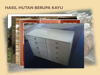 HASIL HUTAN BERUPA KAYU
 