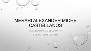 MERARI ALEXANDER MICHE
CASTELLANOS
SEGUNDO BÁSICO SECCIÓN “A”
3 DE OCTUBRE DEL 2013
 
