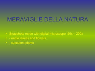 MERAVIGLIE DELLA NATURA

• Snapshots made with digital microscope 50x – 200x
• - nettle leaves and flowers
• - succulent plants
 
