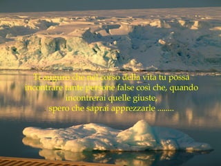 Ti auguro che nel corso della vita tu possa incontrare tante persone false così che, quando incontrerai quelle giuste, spero che saprai apprezzarle ........ 