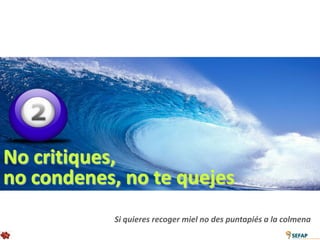 No critiques,
no condenes, no te quejes
            Si quieres recoger miel no des puntapiés a la colmena
 