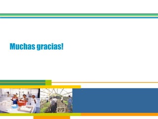 Muchas gracias! 