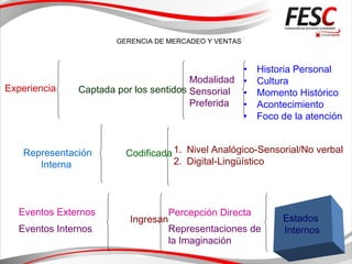 GERENCIA DE MERCADEO Y VENTAS
Experiencia Captada por los sentidos
• Historia Personal
• Cultura
• Momento Histórico
• Acontecimiento
• Foco de la atención
Modalidad
Sensorial
Preferida
Representación
Interna
Codificada1. Nivel Analógico-Sensorial/No verbal
2. Digital-Lingüístico
Eventos Externos
Eventos Internos
Ingresan
Percepción Directa
Representaciones de
la Imaginación
Estados
Internos
 