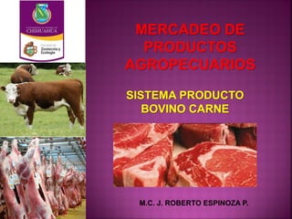 MERCADEO DE
PRODUCTOS
AGROPECUARIOS
M.C. J. ROBERTO ESPINOZA P.
SISTEMA PRODUCTO
BOVINO CARNE
 