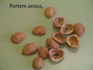 Portem anous,
 