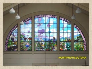 HORTIFRUTICULTURA
 
