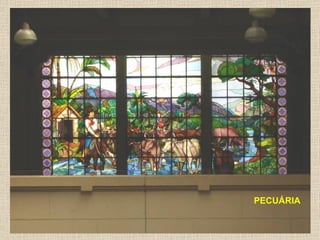 PECUÁRIA
 