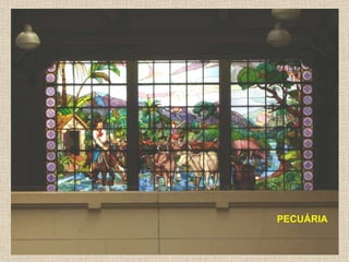 PECUÁRIA 