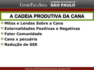  Mitos e Lendas Sobre a Cana
 Externalidades Positivas e Negativas
 Fator Comunidade
 Cana x pecuária
 Redução de GEE
 