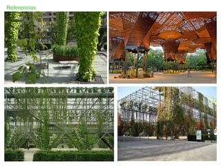 Referencias 