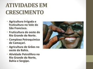 ATIVIDADES EM
CRESCIMENTO
• Agricultura Irrigada e
fruticultura no Vale do
São Francisco.
• Fruticultura do oeste do
Rio Grande do Norte.
• Complexo Petroquímico
de Camaçari.
• Agricultura de Grãos no
oeste da Bahia.
• Atividade Petrolífera no
Rio Grande do Norte,
Bahia e Sergipe.
 