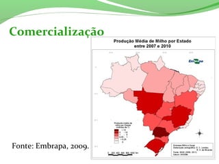 Fonte: Embrapa, 2009.
Comercialização
 