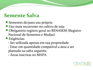 Sementes de/para uso próprio
Uso mais recorrente no cultivo de soja
Obrigatório registro geral no RENASEM (Registro
Nacional de Sementes e Mudas)
Exigências:
- Ser utilizada apenas em sua propriedade
- Estar em quantidade compatível a área a ser
plantada na safra seguinte.
- Áreas inscritas no MAPA.
Semente Salva
 
