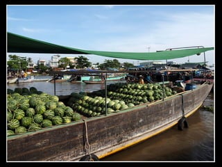 Mercado Flotante (Rio Mekong)