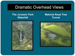 Dramatic Overhead Views
The Jurassic Park
Waterfall

Maluhia Road Tree
Tunnel

 