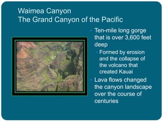 Waimea Canyon
The Grand Canyon of the Pacific
 Ten-mile long gorge

that is over 3,600 feet
deep
 Formed by erosion

and the collapse of
the volcano that
created Kauai
 Lava flows changed

the canyon landscape
over the course of
centuries

 
