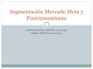 Segementacion de Mercados, Mercado Meta y Posicionamiento | PPT