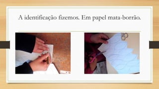 A identificação fizemos. Em papel mata-borrão.
 