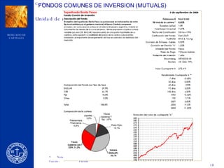 FONDOS COMUNES DE INVERSION (MUTUALS) 