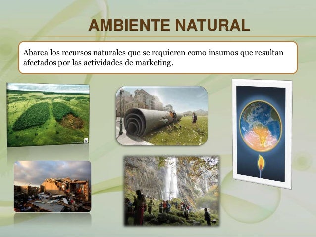 Micro ambiente de la mercadotecnia