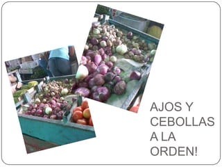 AJOS Y CEBOLLAS A LA ORDEN!