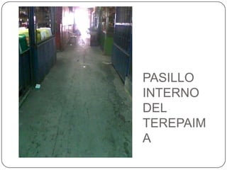 PASILLO INTERNO DEL TEREPAIMA