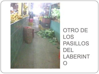 OTRO DE LOS PASILLOS DEL LABERINTO