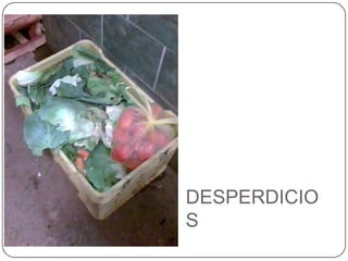 DESPERDICIOS