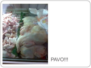 PAVO!!!