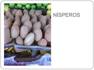 NÍSPEROS