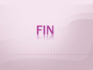 FIN
 