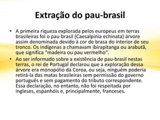 Extração do pau-brasil
• A primeira riqueza explorada pelos europeus em terras
brasileiras foi o pau-brasil (Caesalpinia echinata) árvore
assim denominada devido à cor de brasa do interior de seu
tronco. Os indígenas a chamavam ibirapitanga ou arabutã,
que significa “madeira ou pau vermelho".
• Ao ser informado sobre a existência de pau-brasil nestas
terras, o rei de Portugal declarou que a exploração dessa
árvore era monopólio da Coroa, ou seja, ninguém poderia
retirá-la das matas brasileiras sem permissão do governo
português e sem pagamento do tributo correspondente.
Essa declaração, no entanto, não foi respeitada por
ingleses, espanhóis e, principalmente, franceses.
 